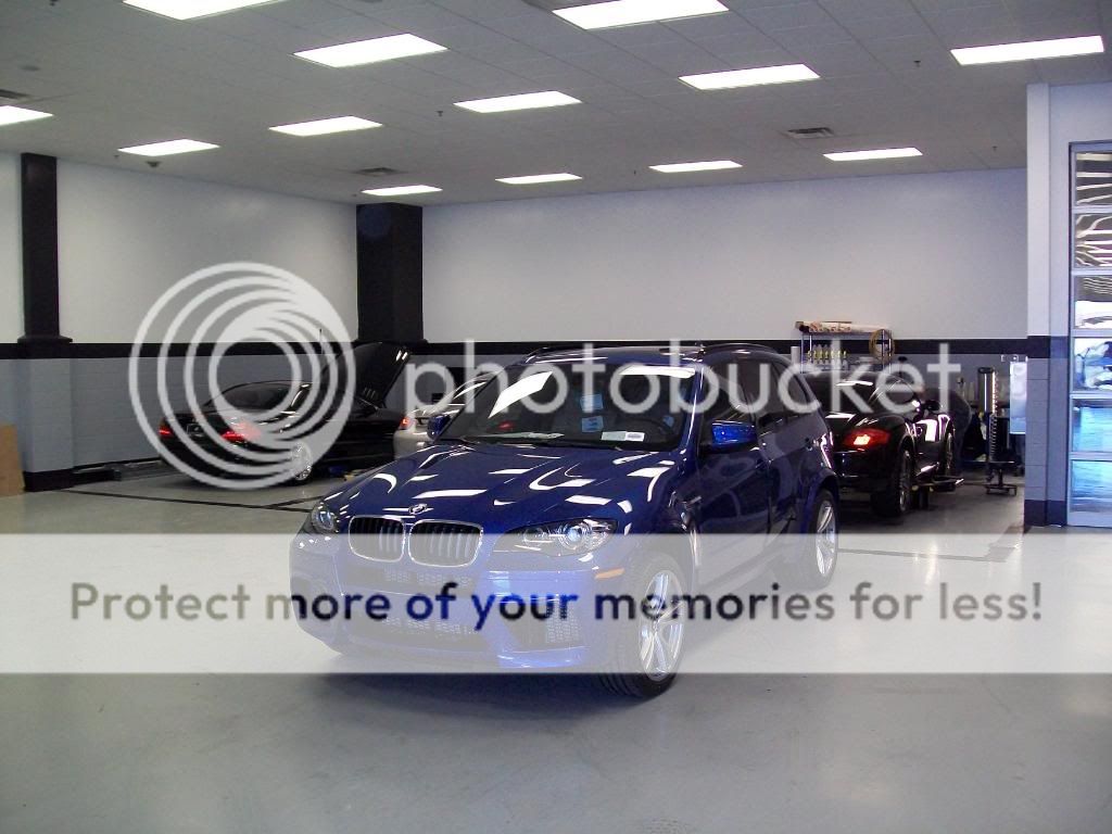 X5 M Tint and Clear Bra Install